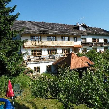 Pension Landhaus Riedelstein Drachselsried Kültér fotó