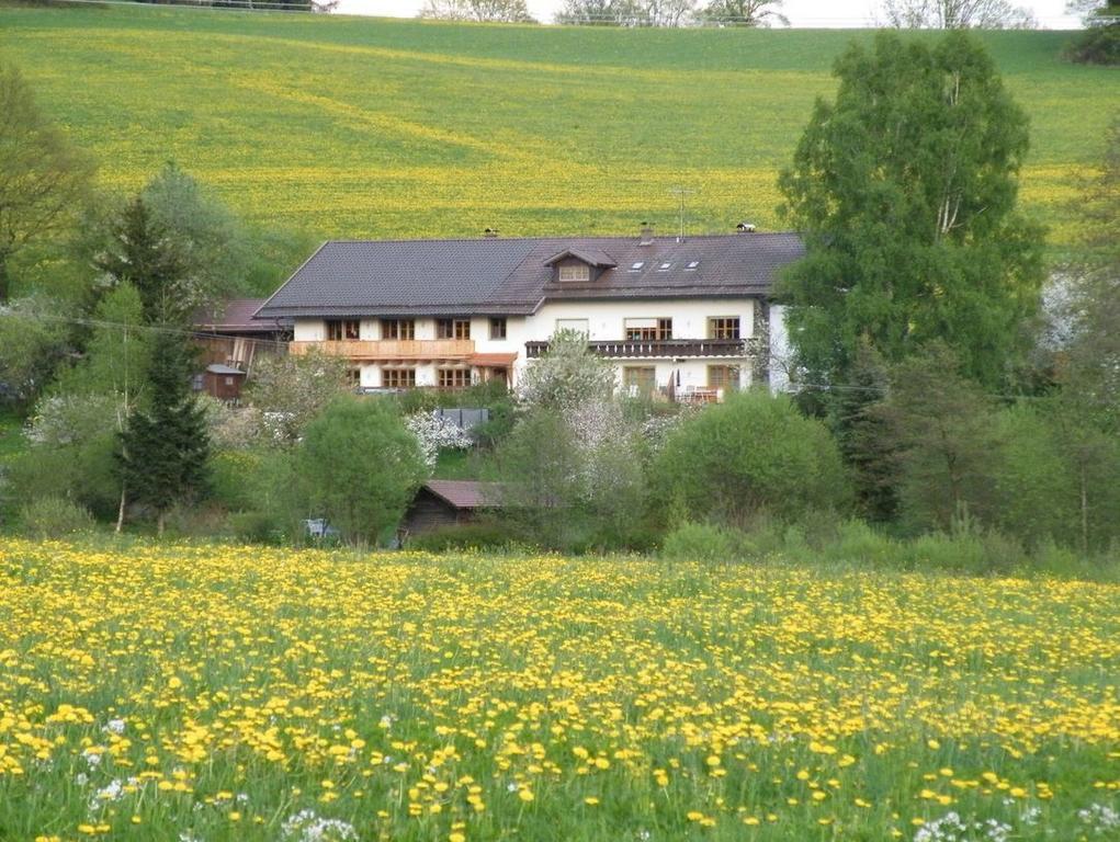 Pension Landhaus Riedelstein Drachselsried Kültér fotó