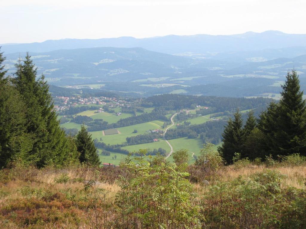 Pension Landhaus Riedelstein Drachselsried Kültér fotó