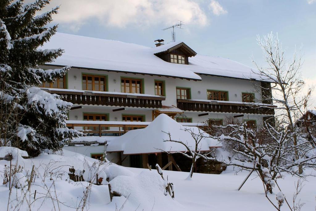 Pension Landhaus Riedelstein Drachselsried Kültér fotó